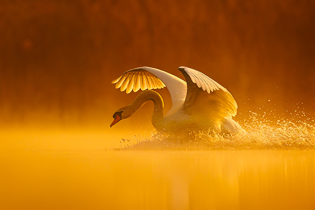 „Anielski wodołamacz”, fot. Patryk Kurc