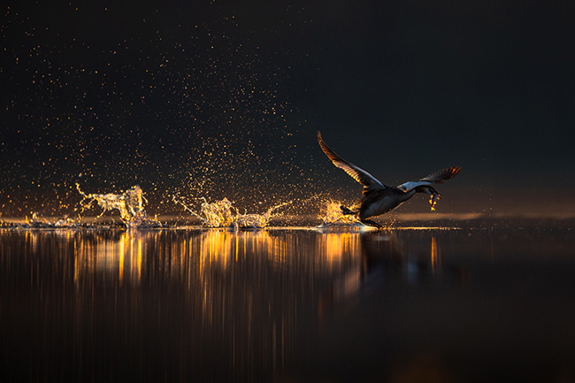 „Dostawa”, fot. Julian Łoziński