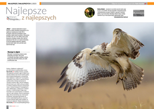 Najlepsze z Najlepszych stycze 2025