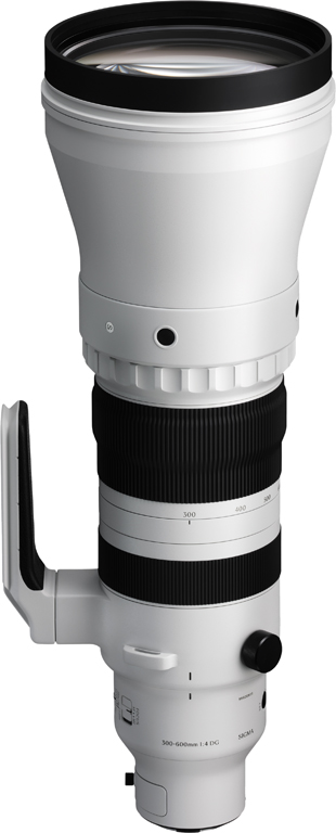 Sigma 300-600 mm f/4 DG OS Sport