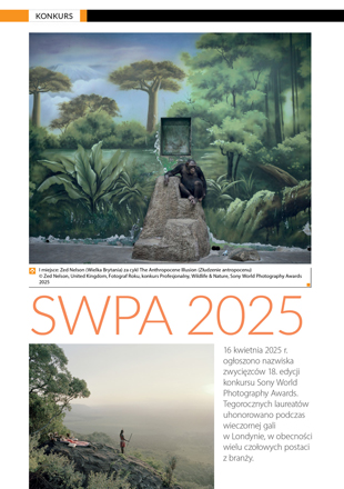 Sony SWPA 2025