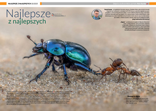 Najlepsze z&nbsp;najlepszych pa�dziernik 2025