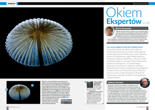 OKIEM EKSPERT&Oacute;W