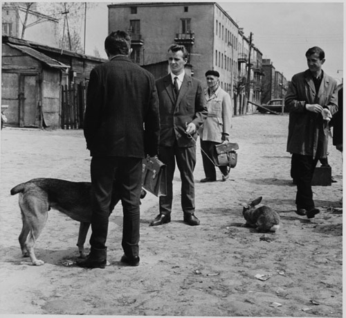 Bogdan �opie�ski