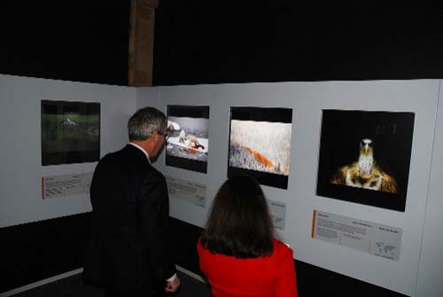 Micha� Budzy�ski