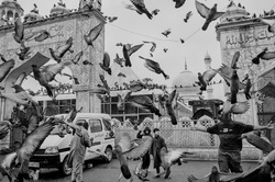 Sony World Photography Awards: og�oszono finalist�w konkurs�w studenckiego i�m�odzie�owego