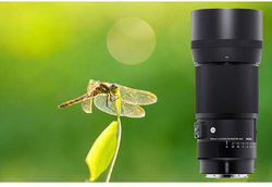 Sigma 105 mm f/2,8 DG DN MACRO | ART