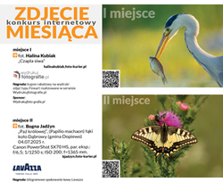 Zdjcie Miesica Lipiec 2025 r. - najlepsze prace s wFoto-Kurierze 8-9/25 - aktualny konkurs tylko do31 padziernika