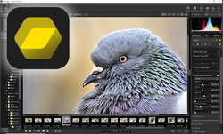 Nikon wprowadza nowy program do przeglądania oraz edytowania zdjęć i filmów