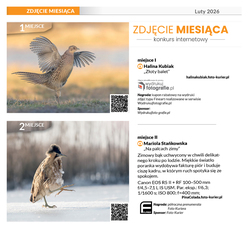 Zdj�cie Miesi�ca luty 2026 r. - najlepsze zdj�cia w�Foto-Kurierze 4/26  - zg�oszenia do�30 czerwca