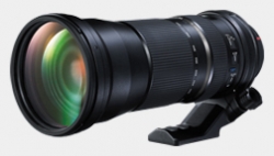 Dzika natura i&nbsp;ptaki w&nbsp;zasi�gu r�ki – Tamron 150–600 mm