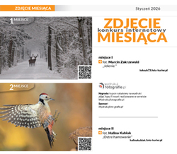 Zdj�cie Miesi�ca stycze� 2026 r. - najlepsze zdj�cia w�Foto-Kurierze 3/26  - zg�oszenia do�31 maja