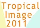 Tropical Image Exhibition (konkurs pod patronatem FIAP)