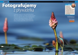 Jak fotografowa ptaki zwody - poradnik - Foto-Kurier 7/2015