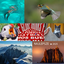 Najlepsze w 2025 - Liga Foto-Kuriera 2025 - tylko do 18 listopada 2025 r.