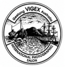 Vigex International Salon of Photography (konkurs pod patronatem FIAP, PSA)