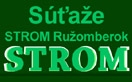 Strom 2013 Ruzomberok