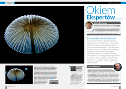 OKIEM EKSPERT�W ocena zdj�� u�ytkownik�w portalu - Foto-Kurier 12/25