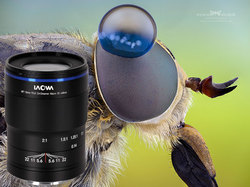 Laowa 50 mm f/2,8 2X Ultra Macro APO