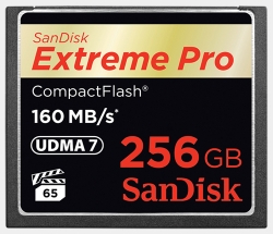 256 GB wkarcie CompactFlash
