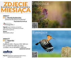 Zdjcie Miesica Czerwiec 2025 r. - najlepsze prace s wFoto-Kurierze 8-9/25 - aktualny konkurs tylko do30 wrzenia