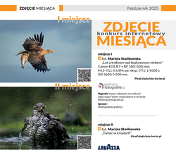 Zdj�cie Miesi�ca pa�dziernik 2025 r. - najlepsze prace s� w&nbsp;Foto-Kurierze 8-9/25 - aktualny konkurs tylko do&nbsp;31 pa�dzi