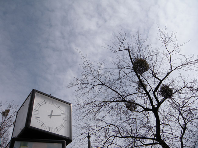 Stylowy maluch pod wzgldem jakoci wykonywanych zdj wypada cakiem niele na tle konkurencji