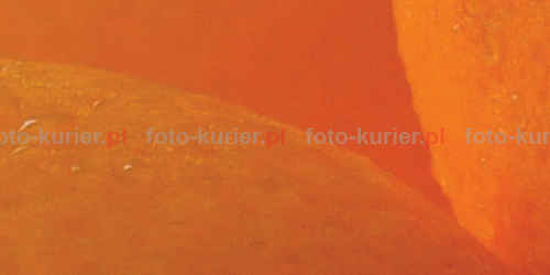 ISO 800