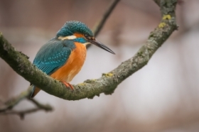 �wiat�o, cisza i&nbsp;jedno spojrzenie.