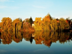 symetria ziemnowodna - odsona jesienna