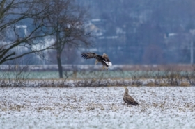 Naziemna kontrola lotu