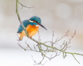 W ciszy przed nurkowaniem