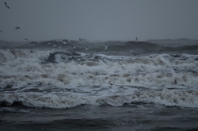 O bursztynie, bez bursztynu