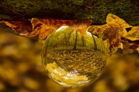 Ksiaski Park Krajobrazowy