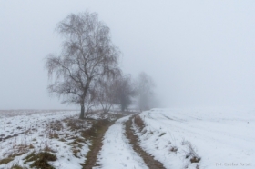 Ostatni dzie listopada