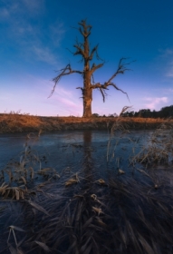 Odwr�� wzrok. Tam dzieje si� magia