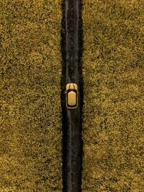 Yellow 2