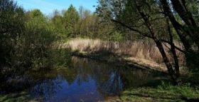 PARK BIELA�SKO - TYNIECKI