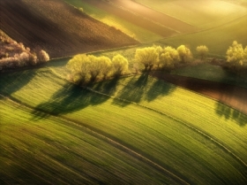 Wiosna