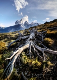Torres del Paine Patagonia