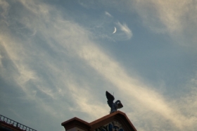 moon