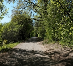 PARK BIELA�SKO - TYNIECKI 3