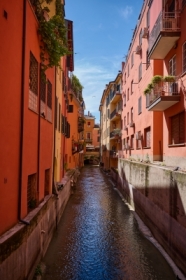 zdj�cie miesi�ca