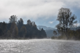 Dunajec