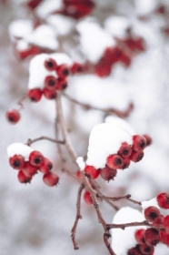 Sezon na&nbsp;kontrast