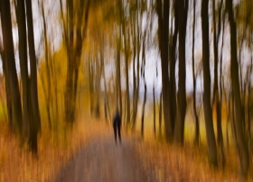 Listopadowe abstrakcje