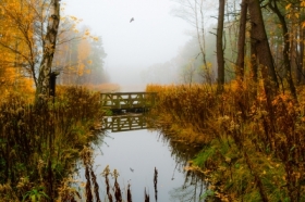 zdj�cie miesi�ca