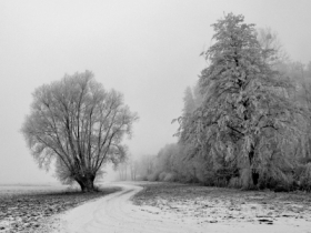 Zimowa szad� w&nbsp;Wlkp