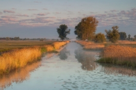 Dolina Bzury