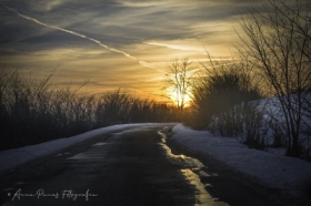 zdj�cie miesi�ca